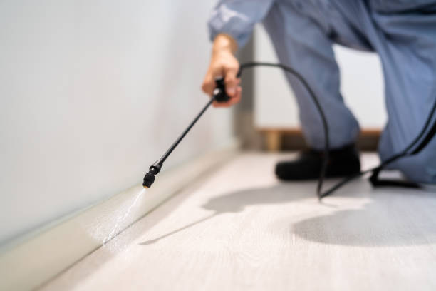 Licensed Termite Control service in Dubach, LA - Nex Pest Control