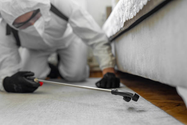 Professional Termite Control technician working in Dubach, LA