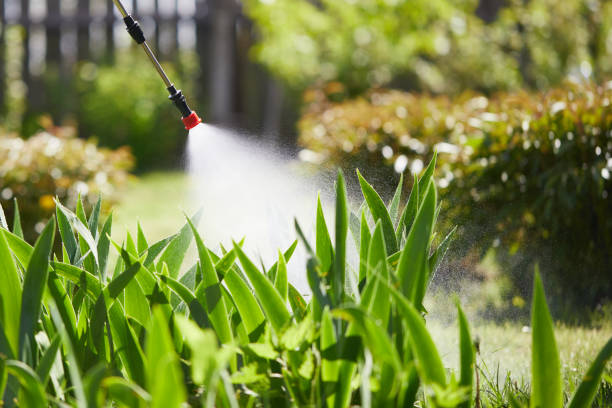 24/7 Emergency Termite Control experts in Dubach, LA