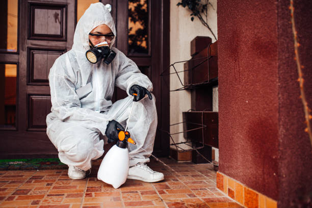Reliable Termite Control contractor in Dubach, LA by Nex Pest Control