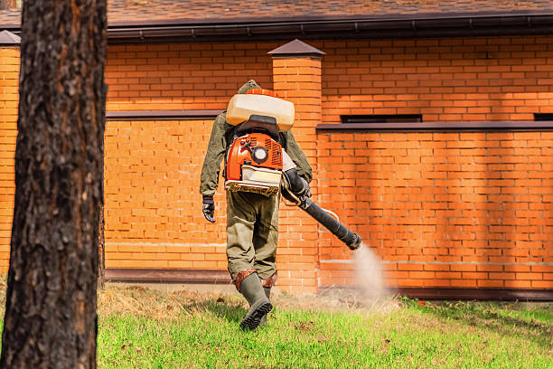 Top rated local Termite Control specialists in Dubach, LA